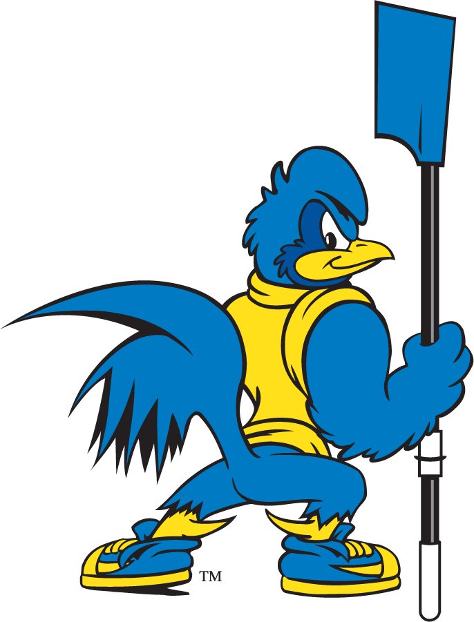 Delaware Blue Hens 1999-2009 Mascot Logo iron on transfers for clothing